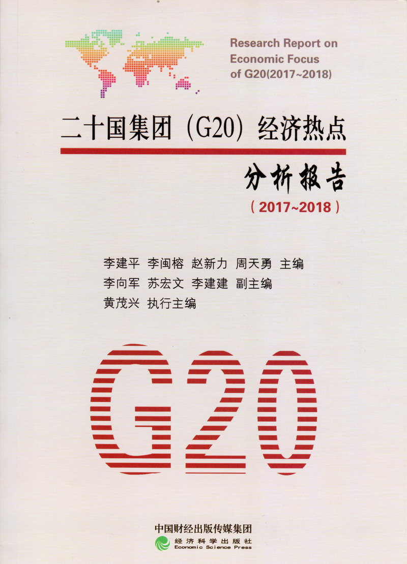 欧美艹艹艹逼二十国集团（G20）经济热点分析报告（2017-2018）